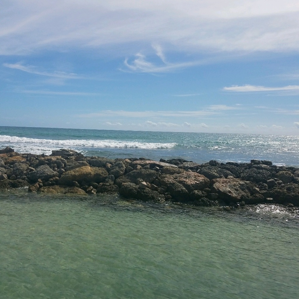 Meet your Posher, Marisol